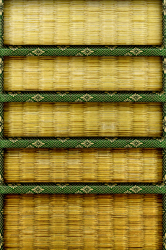 IMG_0303.PNG