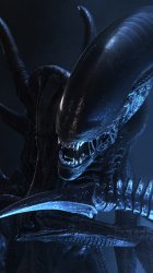 alien1.jpg
