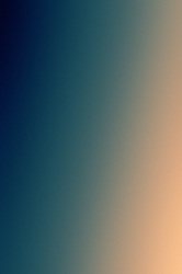 IMG_3359.PNG