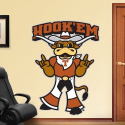 hookem.jpg