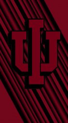 IU_3.jpg