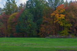 Macrumors fall comp.jpg