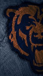 Bears1.jpg