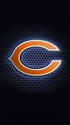 Bears2.jpg