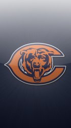 Bears3.jpg