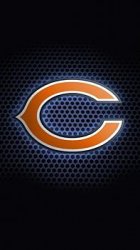 Bears2.jpg