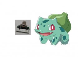 bulbasaur.jpg