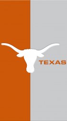 Texas Longhorns 01.jpg