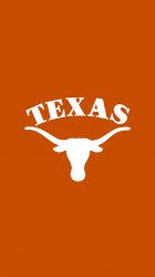 Texas Longhorns 02.jpg