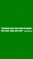 matthew5.8_green.jpg