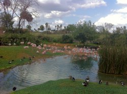 IMG_0366.JPG