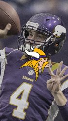 Vikings01.jpg