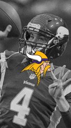 Vikings02.jpg