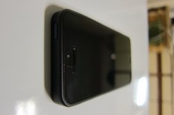 IMG_3481.JPG