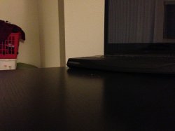 IMG_0419.JPG