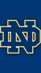 image-1.png