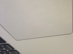 IMG_9330.jpeg