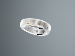 Ho12_PR_FuelBand_WHITE_ICE_0329_v4_14809.jpeg