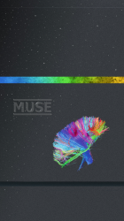 Musethe2ndLaw.png