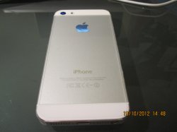 IMG_0726.JPG