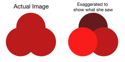 Combined.png Combined.png