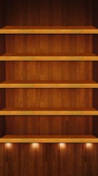 wood_shevles - Dimmed.jpg