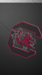 CarolinaLeather.png