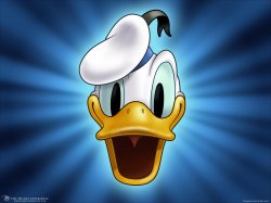 Donaldstar_1600.jpg