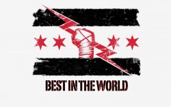 wrestling wwe world wrestling entertainment logos cm punk best in the world 1920x1200 wallpaper_.jpg