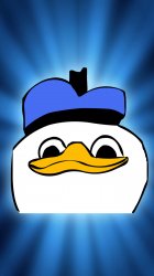 dolan.jpg