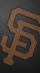 LeatherSF.png
