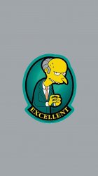 Excellent.jpg