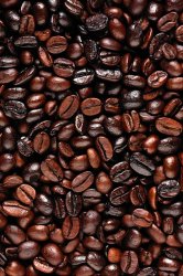 Coffee Beans 4.jpg