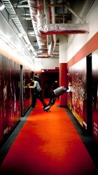 HeatBulls02.jpg