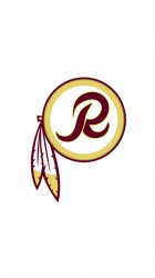 redskins other.jpg