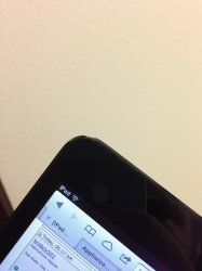 IMG_2339.jpg
