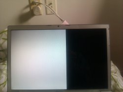 IMAG0358.jpg