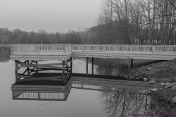 IMG_7904.jpg