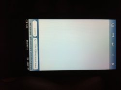 image(2).jpeg