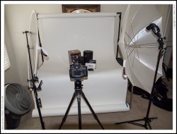 nikon auction-250002-20121125.jpg