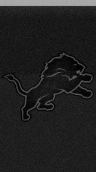 Lions dark.jpg