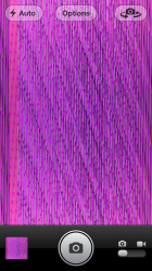 photo.PNG