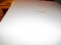 100_5648.JPG