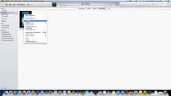 Screen Shot 2012-12-10 at 8.24.02 PM.png