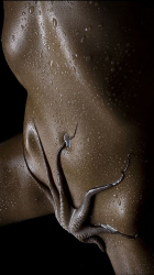 c94897e37c58b014_iph5.png