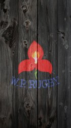 WP Rugby 03.jpg