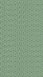 Honeycomb 03.jpg