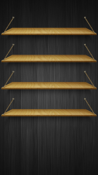 4 Shelves.png