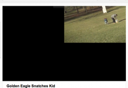 Screen Shot 2012-12-21 at 5.29.51 PM.png