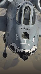 A10 Warthog 01.jpg